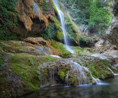 Quad City International