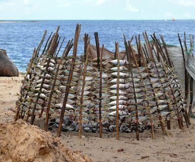 Dar es Salaam, Tanzania