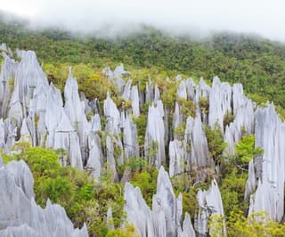 Gunung Mulu National Park