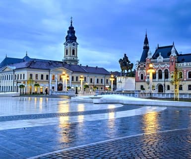 Oradea International