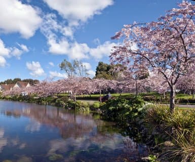 Flughafen Palmerston North