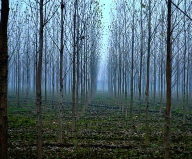 Aeroporto di Pantnagar