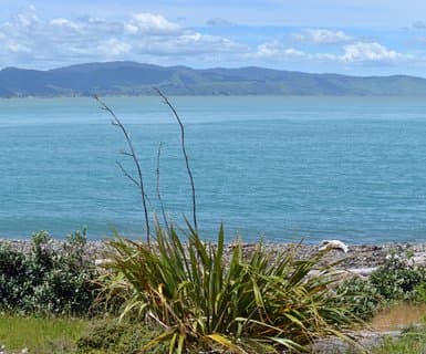  ,  - Paraparaumu