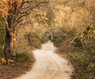 Phinda Private Game Reserve