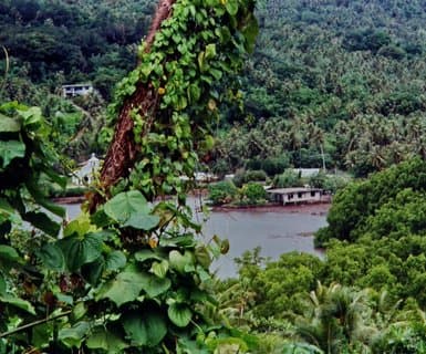 Aéroport international de Pohnpei