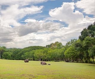 Puerto Ordaz and San Felix