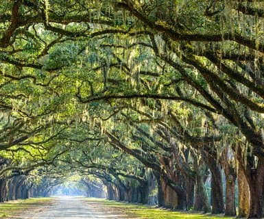 Savannah, Stany Zjednoczone