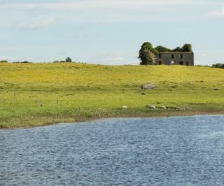 Shannon, comté de Clare