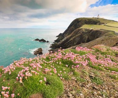  ,  - Shetland Islands