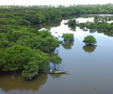 Osmani International