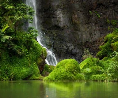 Polynésie française