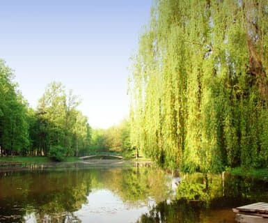 飛往 台南 的航班