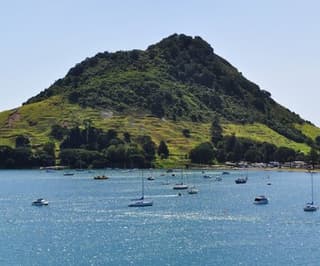 Tauranga