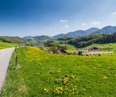 St. Gallen–Altenrhein