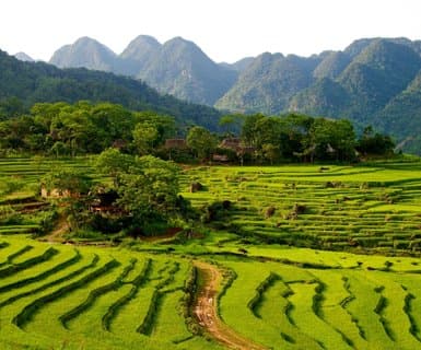  ,  - Thanh Hoa Province