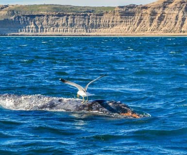 Buenos Aires, Argentine