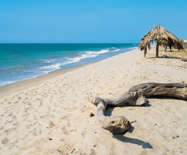 Cap. FAP Pedro Canga Rodríguez