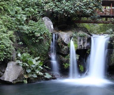 Uruapan International