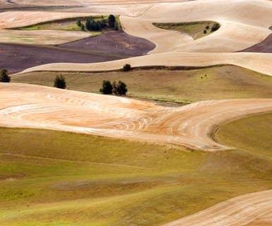 Walla Walla Regional