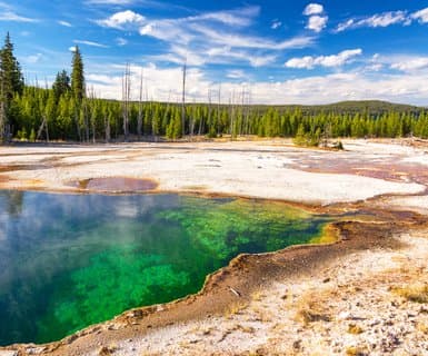 Yellowstone