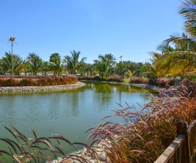 카이로, 이집트