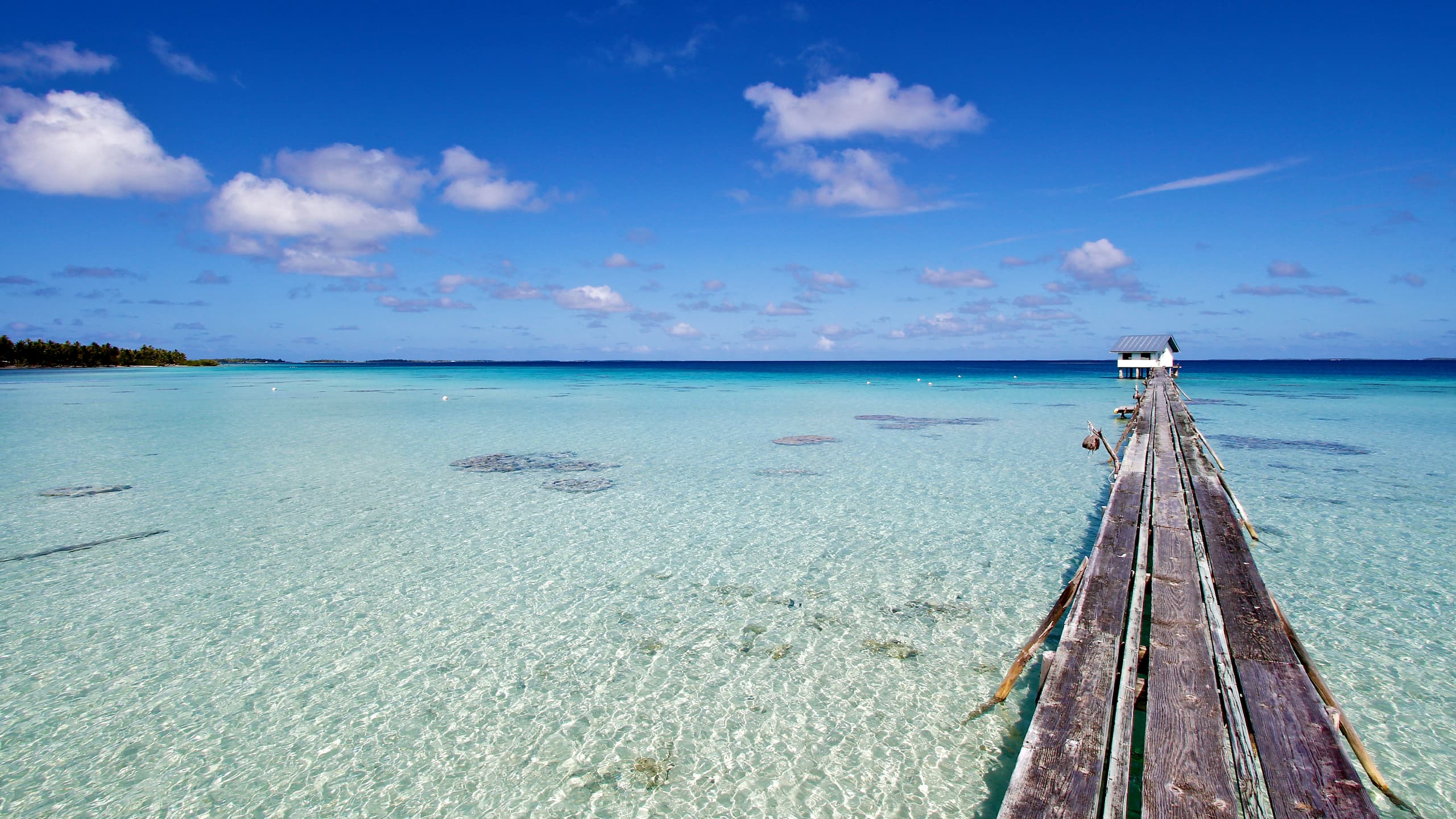 便宜機票 前往波利尼西亞