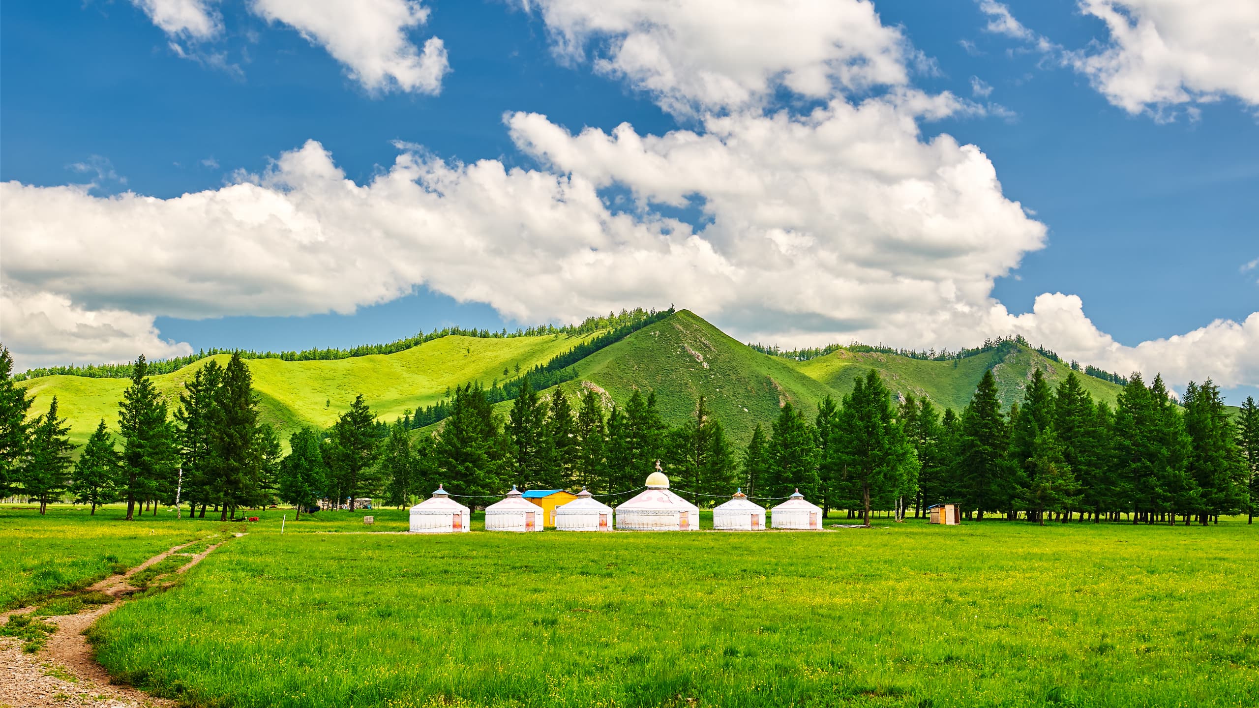 中国 内モンゴル行き行きの格安フライト