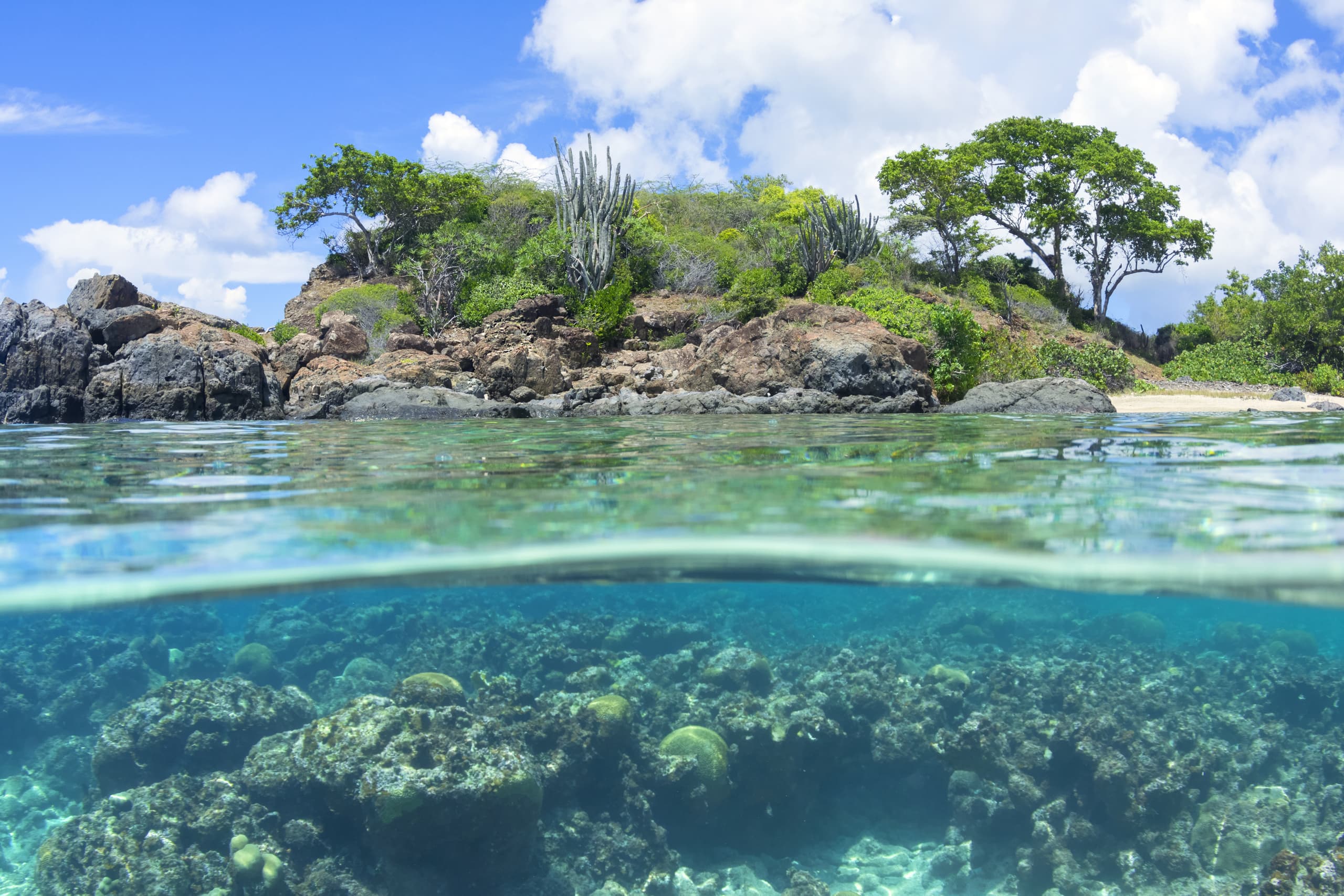 Chuyến bay giá rẻ đến đến Puerto Rico, Hoa Kỳ