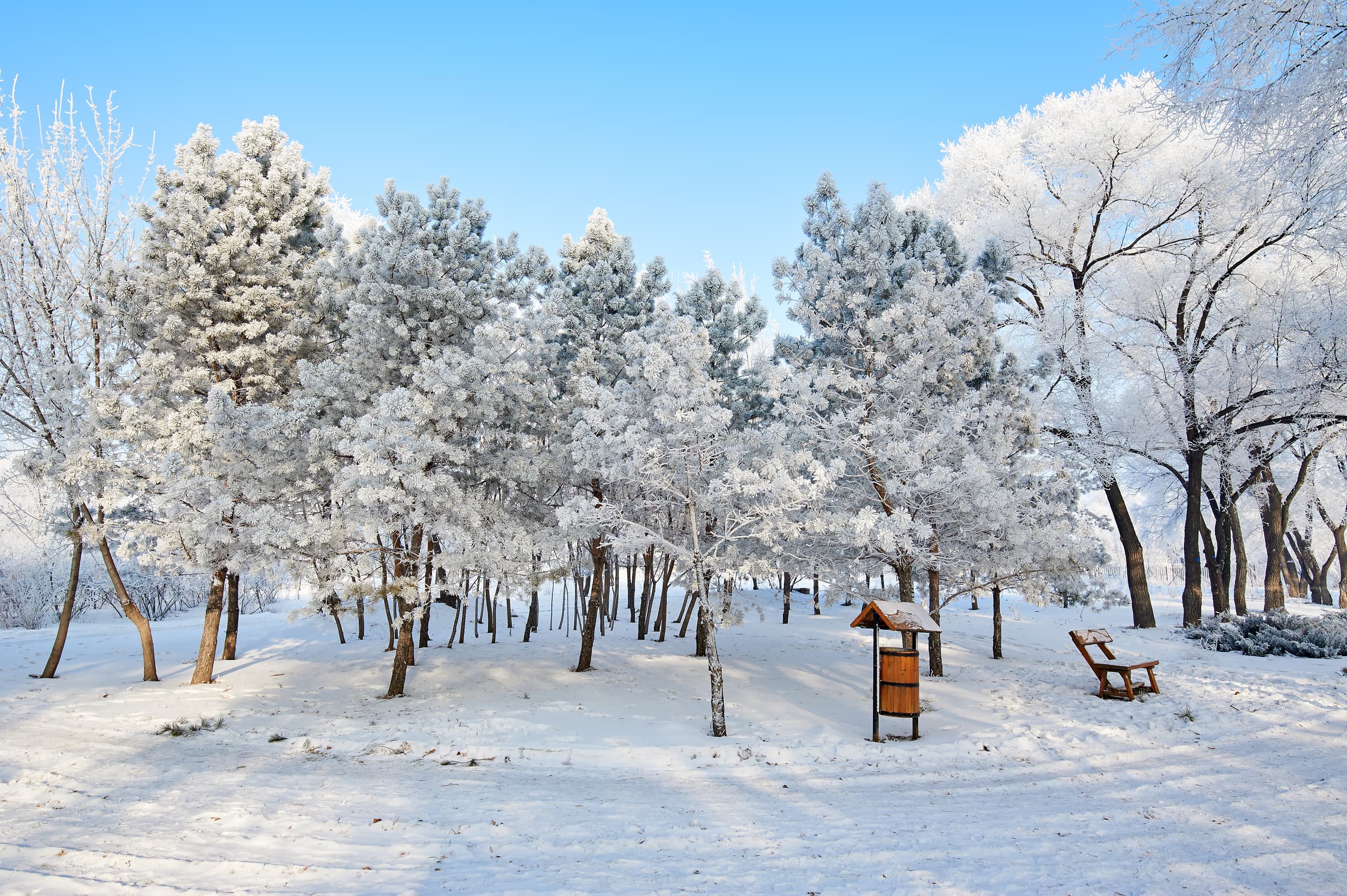 Poceni leti v v Heilongjiang, Kitajska