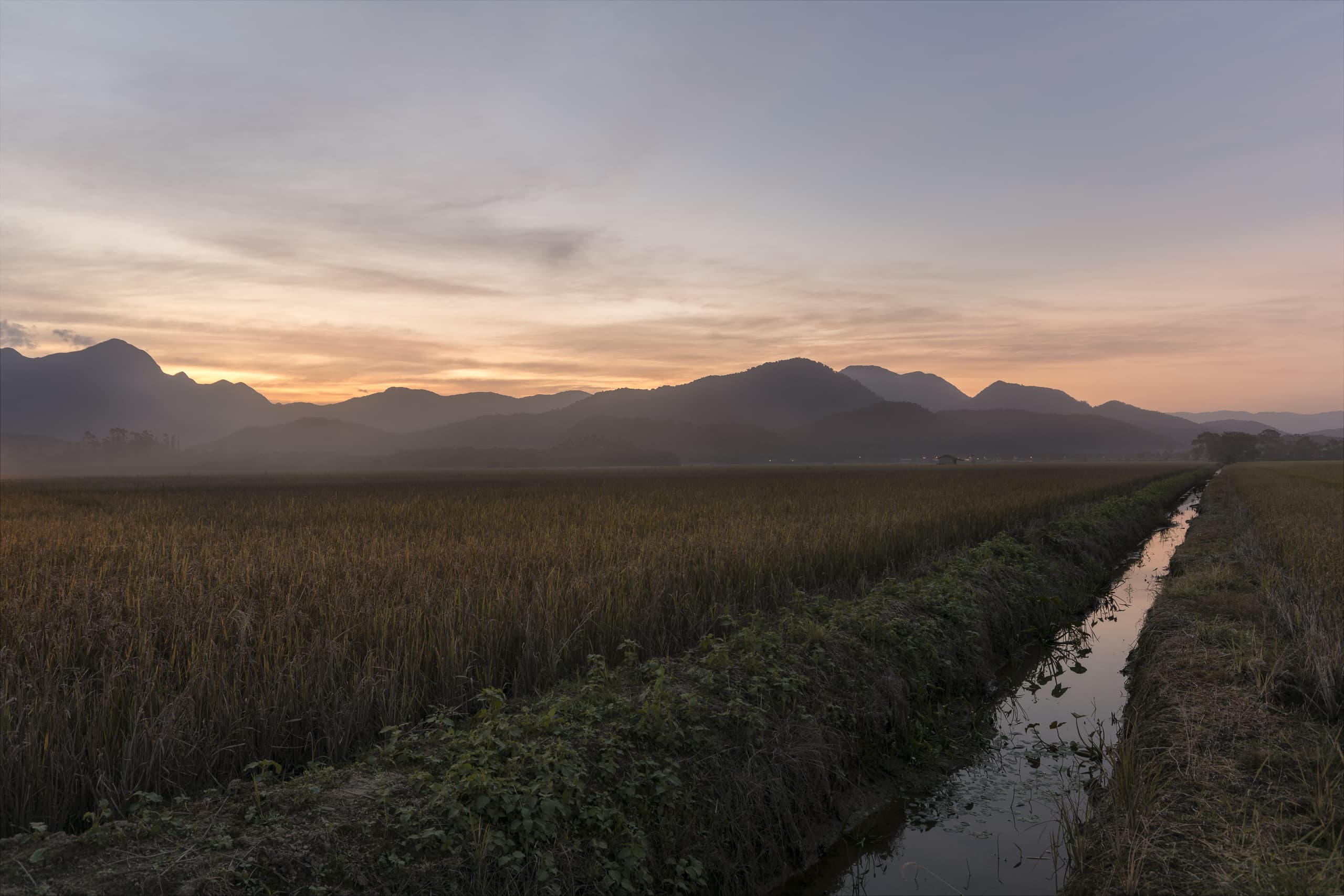 飛往 至聖卡塔琳娜州, 巴西 的便宜機票