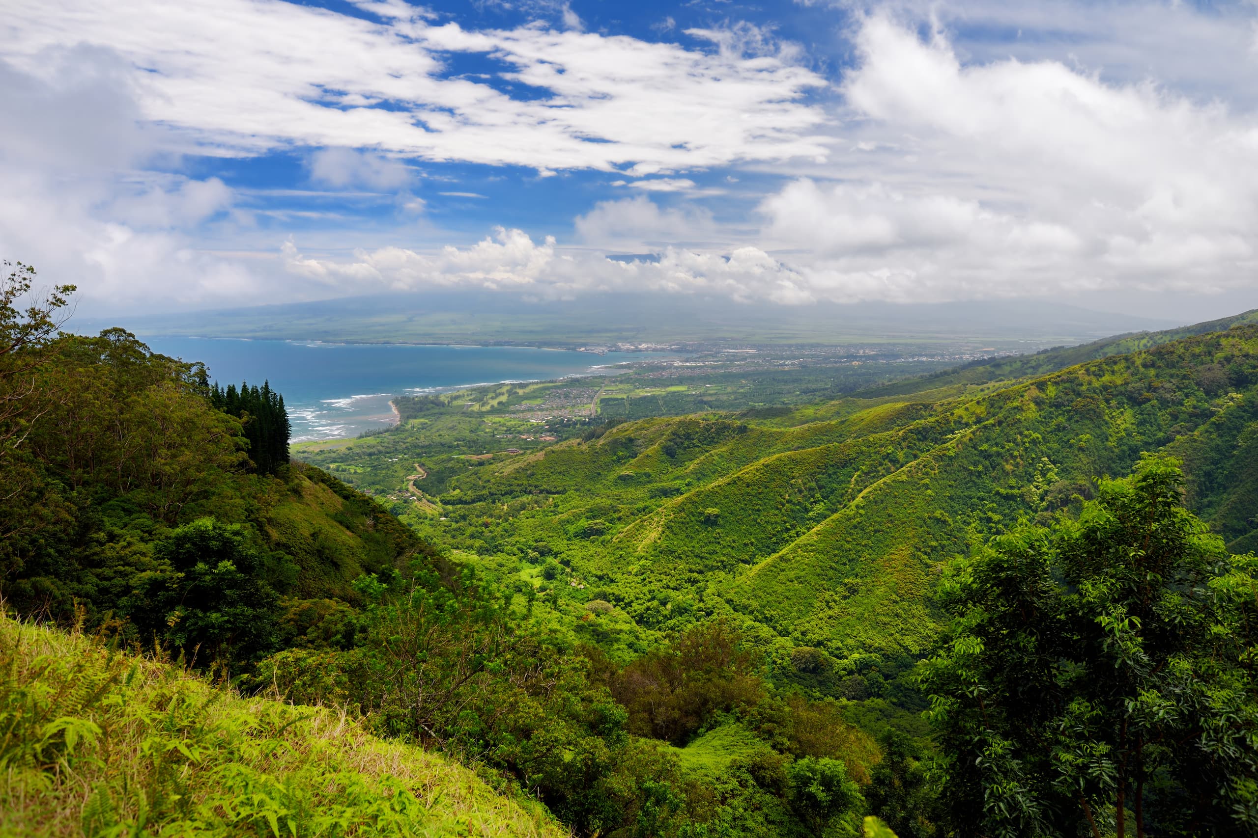 Odavad lennud Hawaiile, Ameerika Ühendriigid