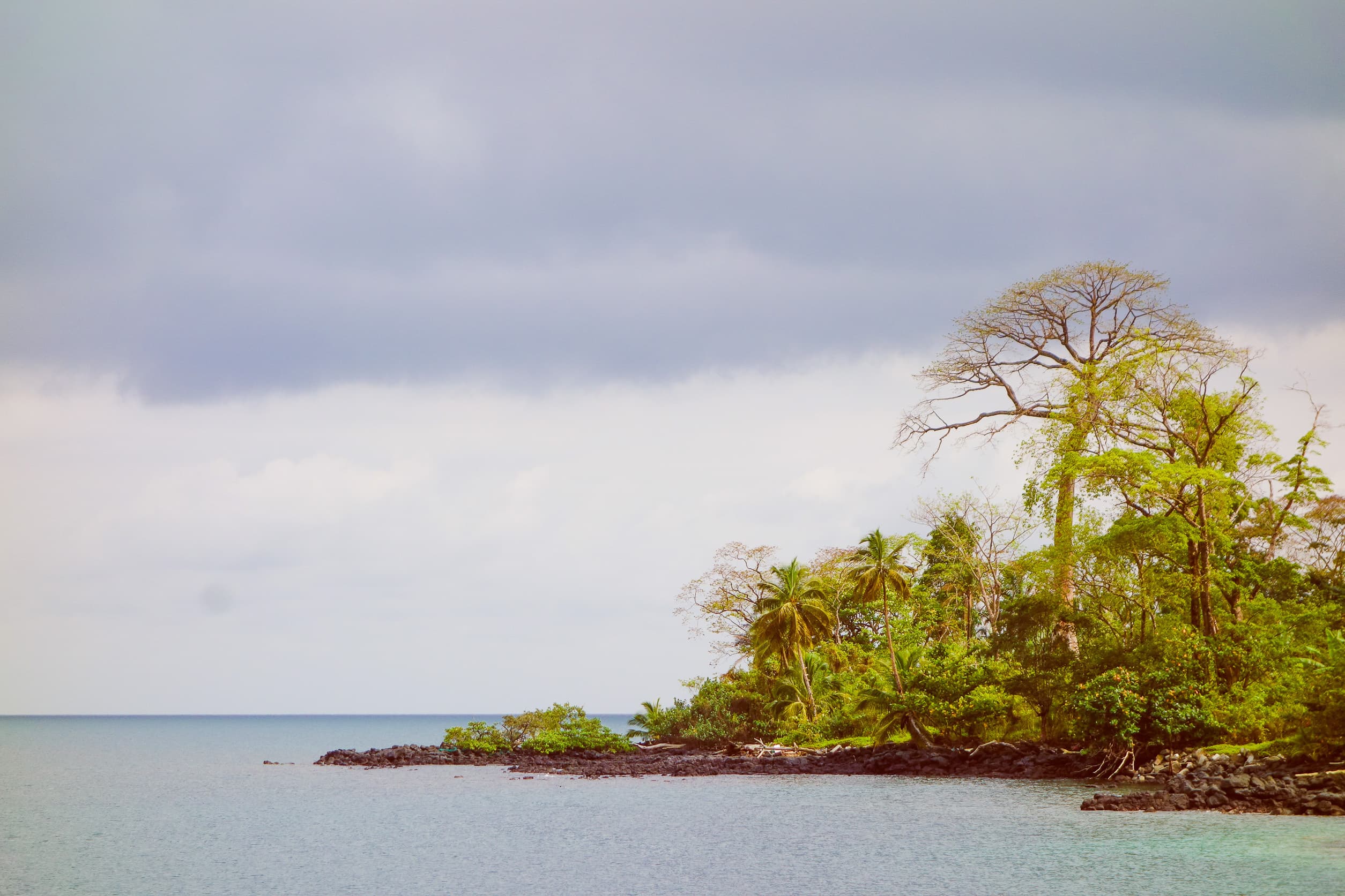 Vuelos baratos a África Central