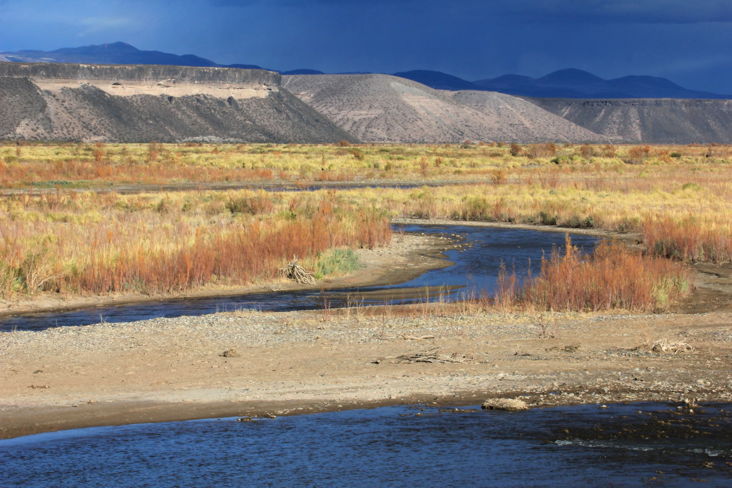 Vuelos baratos a Neuquén, Argentina