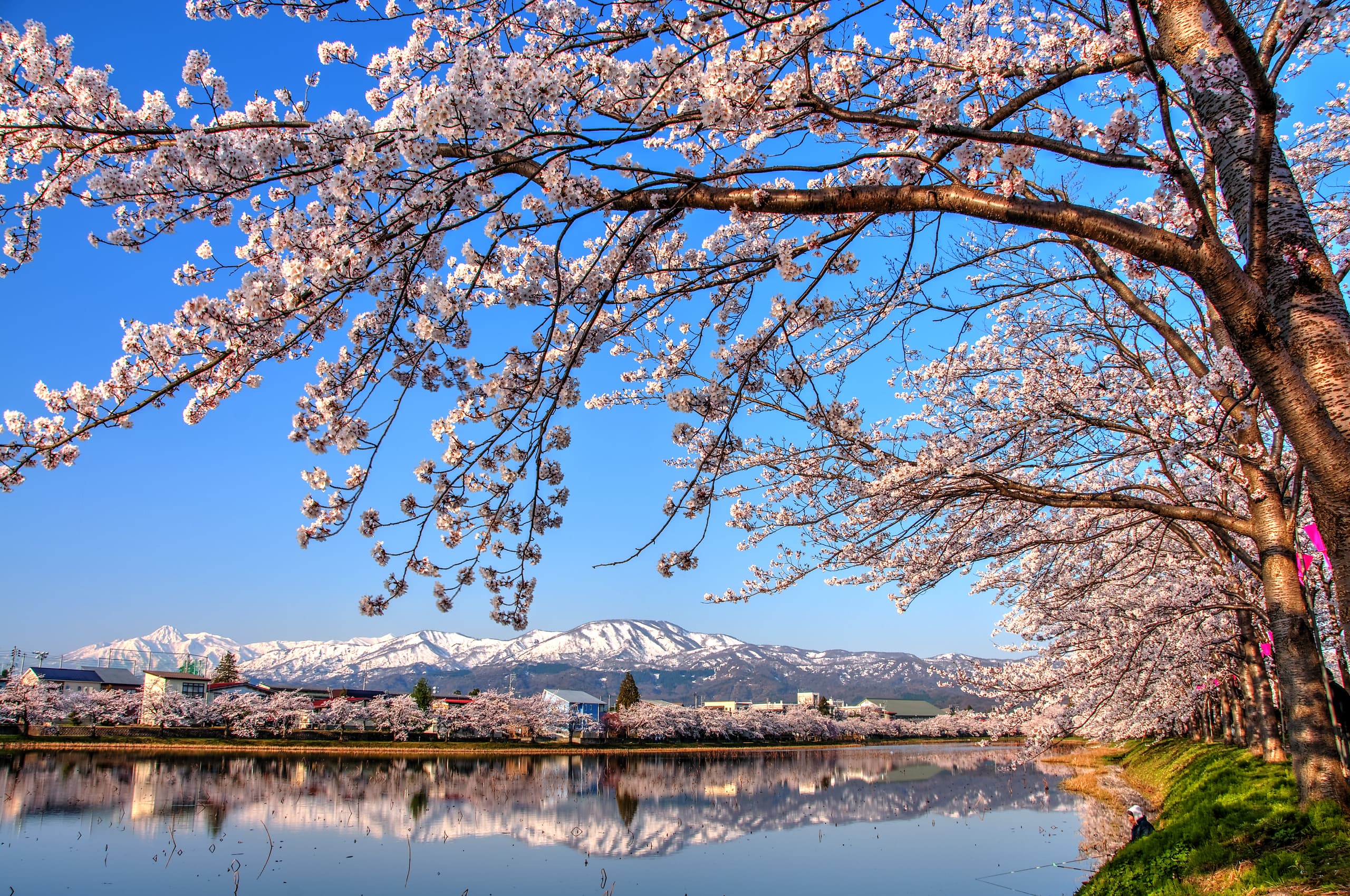 Billige flyreiser til Niigata prefektur, Japan