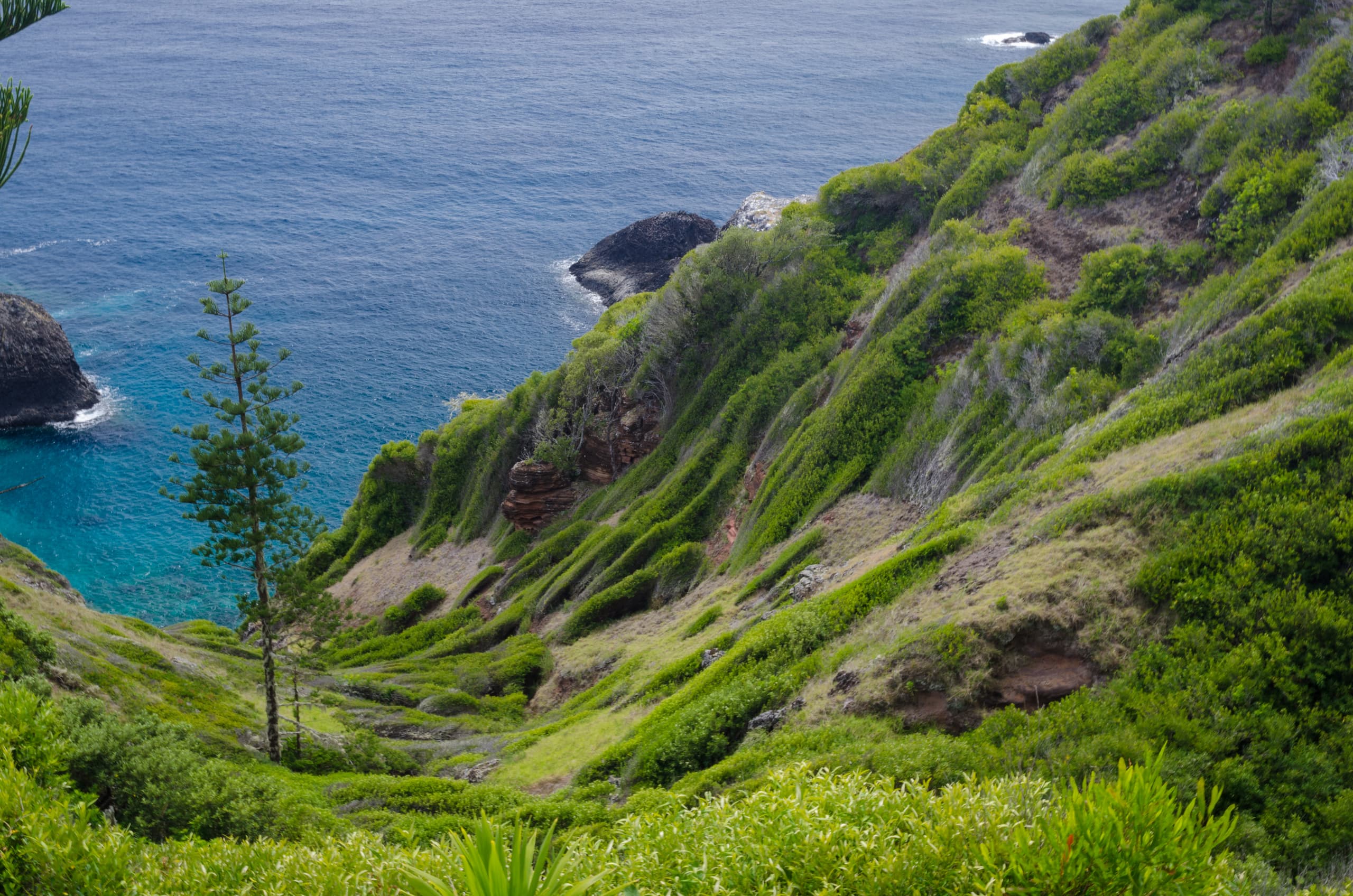 Halvat lennot Virginiaan (Yhdysvallat)
