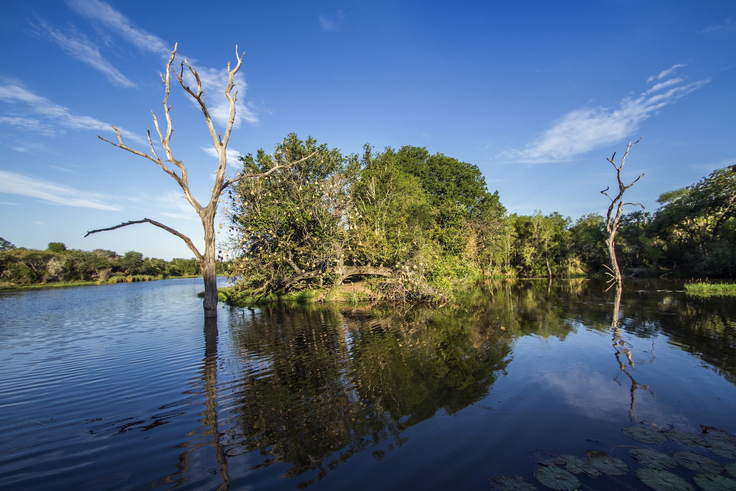Halvat lennot Mpumalangaan (Etelä-Afrikka)