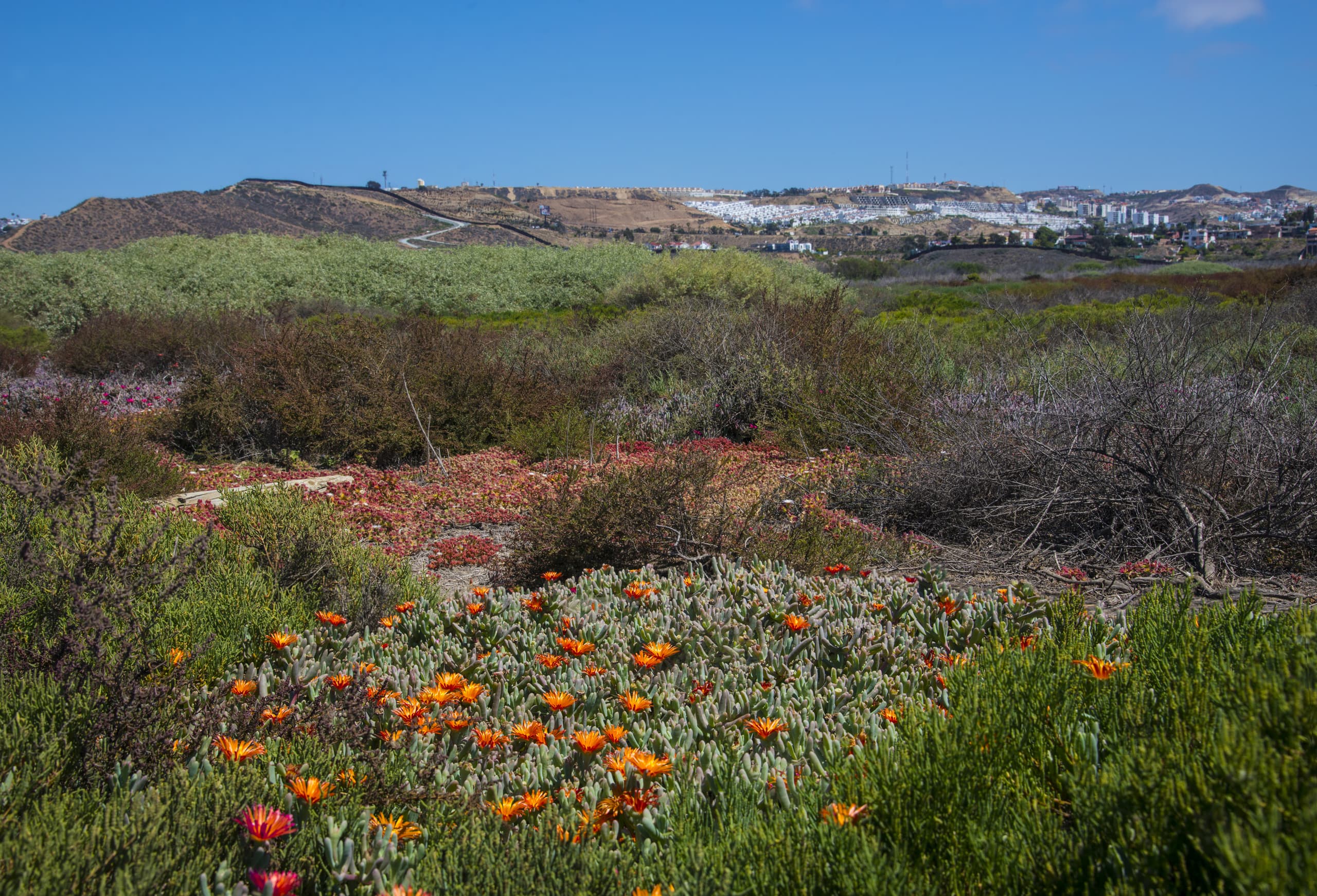 Tanie loty do Dolnej Kalifornii, Meksyk
