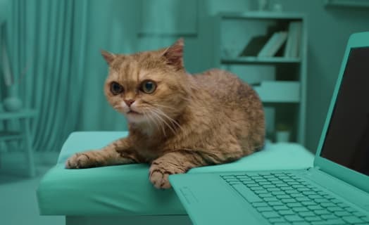 Miðakaup fyrir faldar borgir