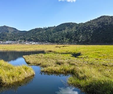 Tengchong Tuofeng