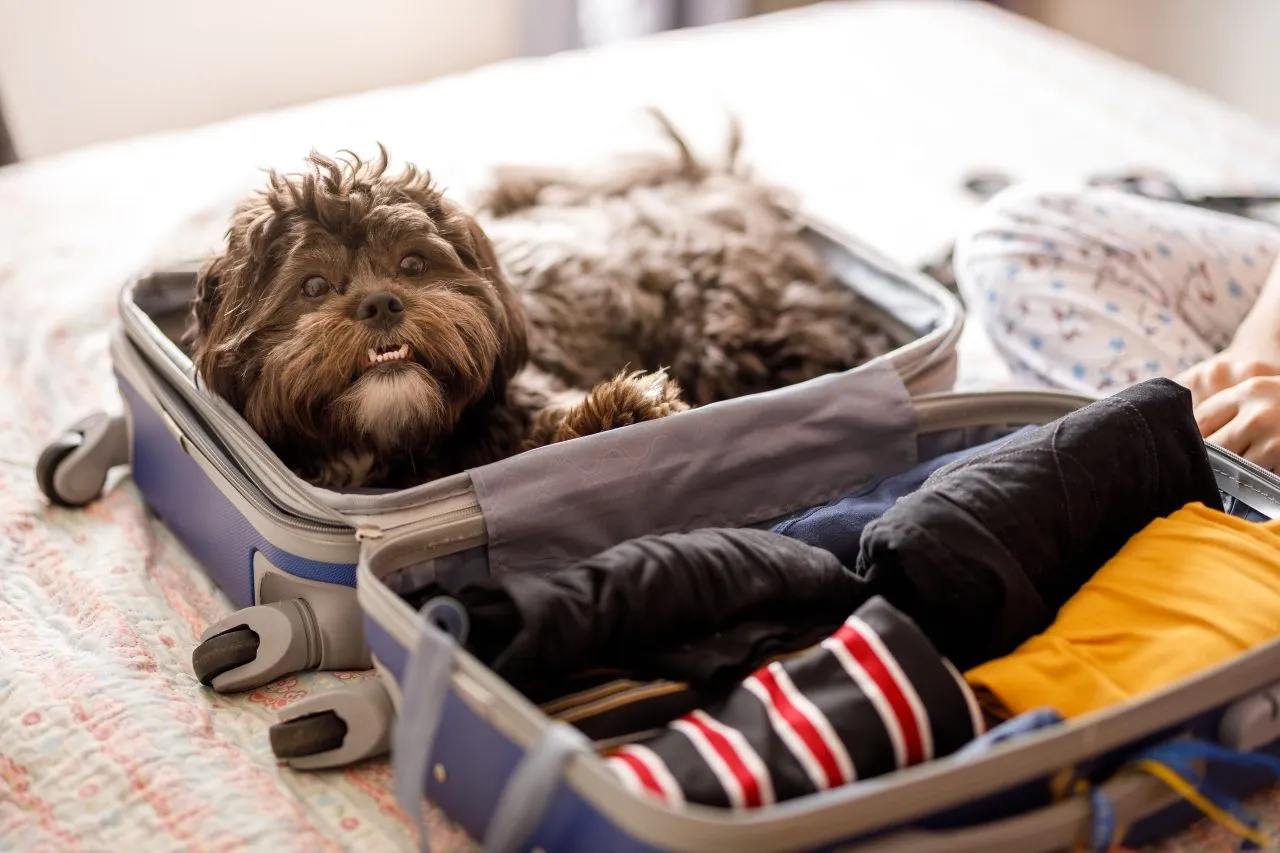 7 Underrated Travel Destinations Cheaper To Fly To Than You Think