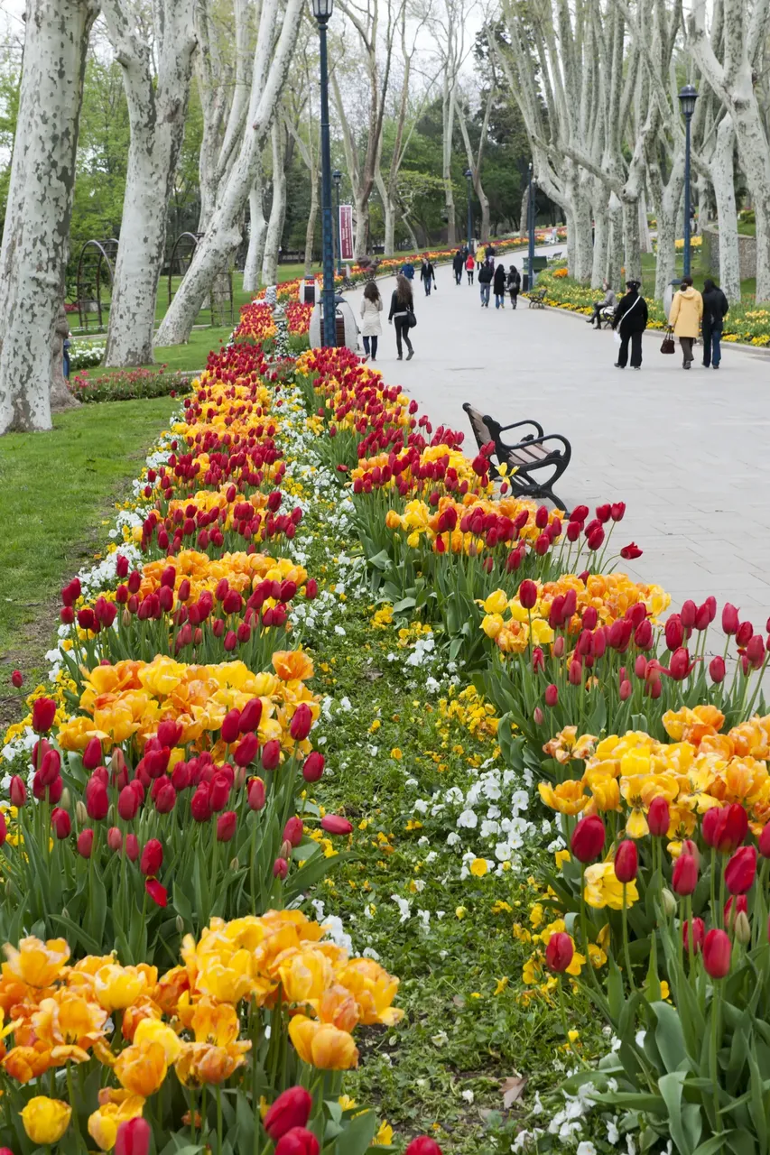 Tulips in Gülhane Park — Getty Images