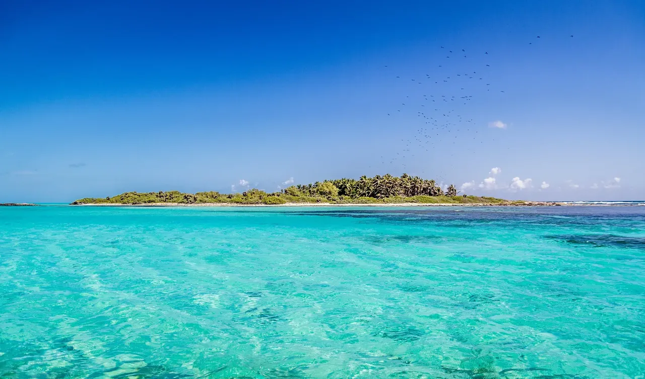 La isla de Contoy es el sitio perfecto para alejarse del tumulto y observar el refugio más grande de aves marinas del Caribe — Shutterstock