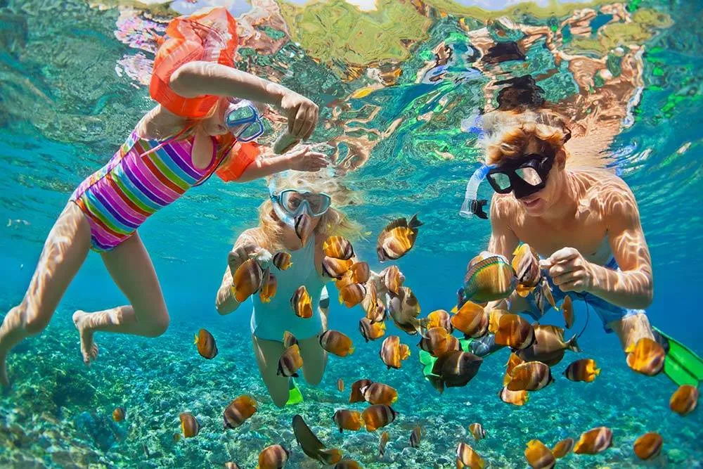 Viajar para muchos hace parte no solo de las vacaciones sino de la vida, viajar nos abre la mente y nos da la opción de conocer otras culturas