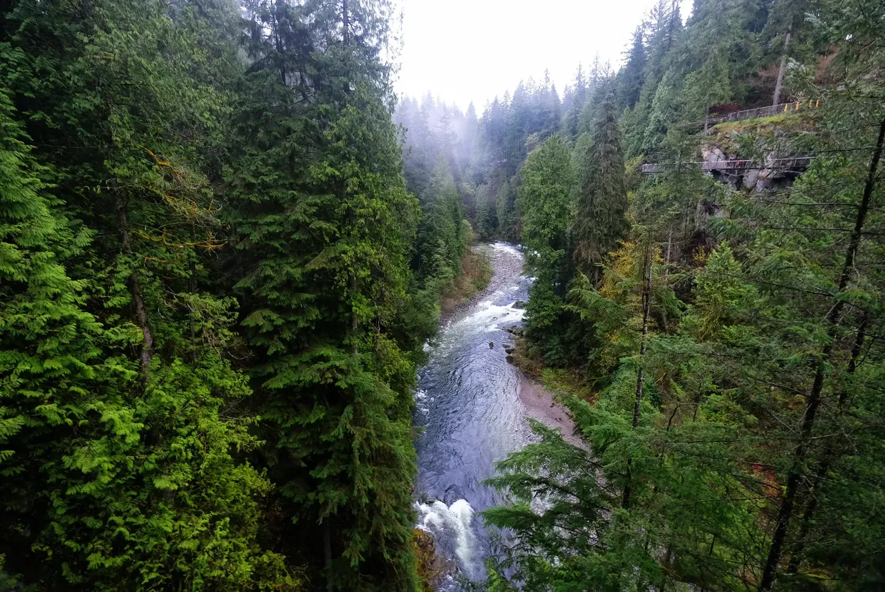 Vista panorámica del río Capilano rodeado de exuberantes bosques verdes en el parque regional del río Capilano de Vancouver