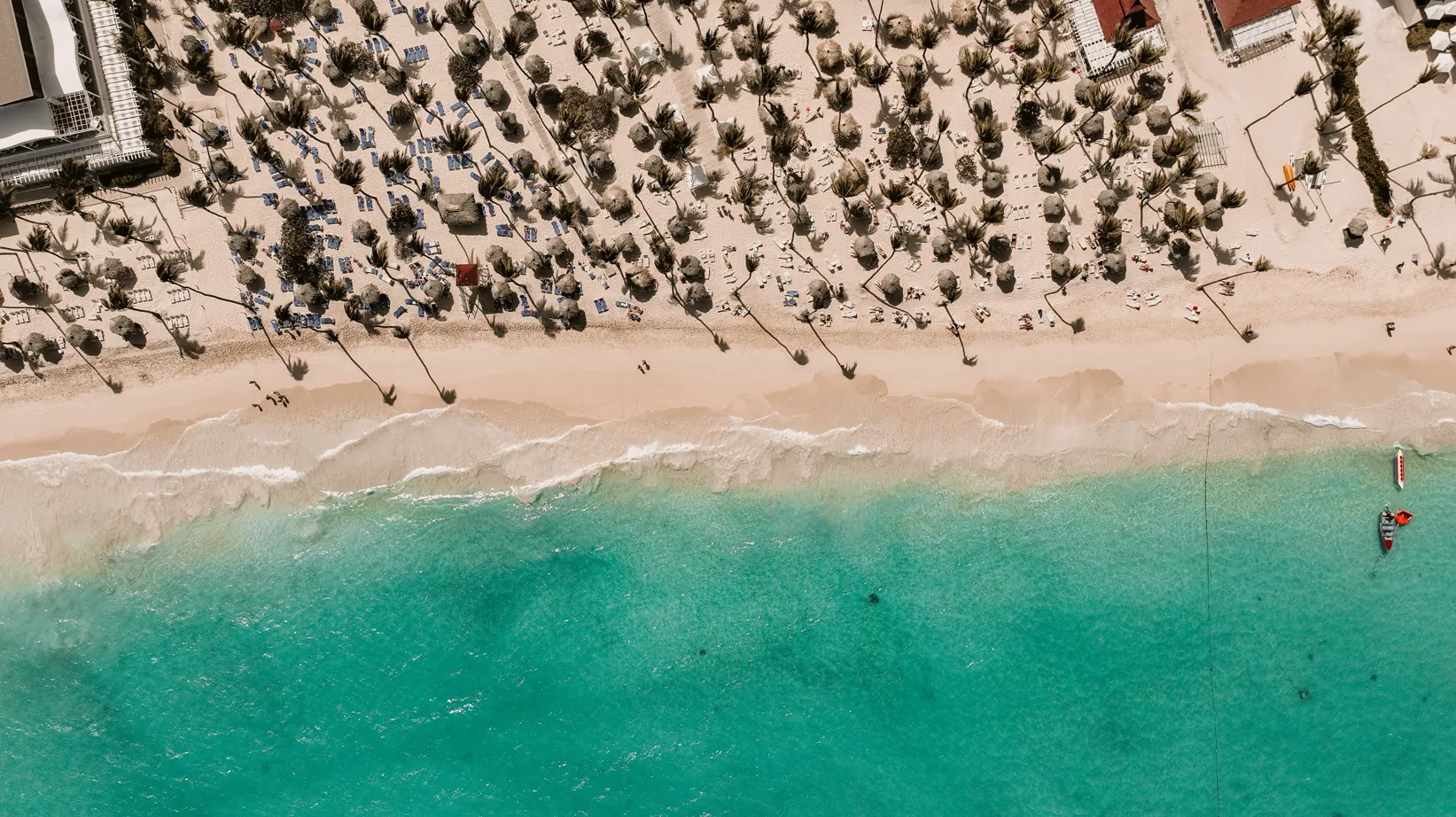 Aerial view of a palm-lined beach with turquoise water in Punta Cana