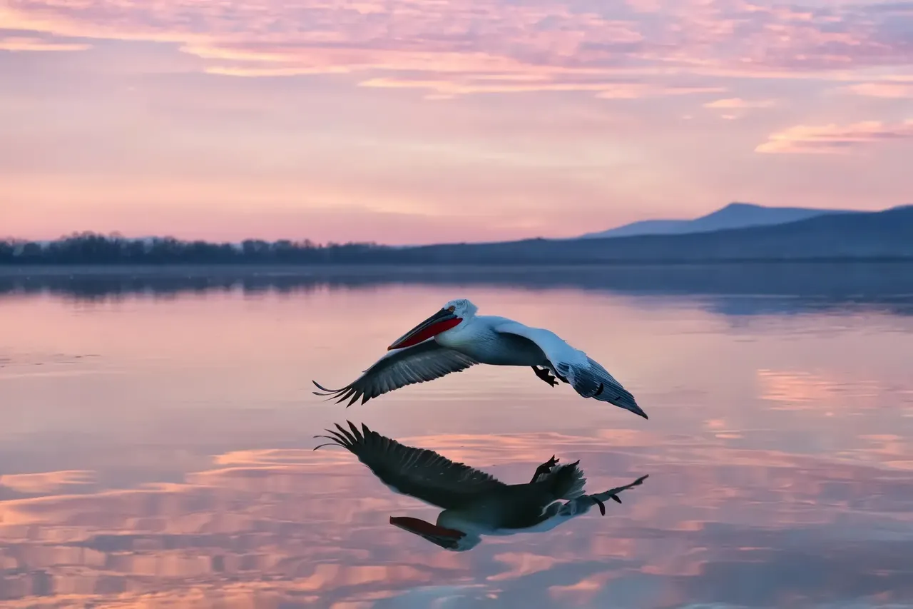 Kerkini is home to pelicans threatened by extinction — Shutterstock 7 European lakeside holidays for 2019 lake beach