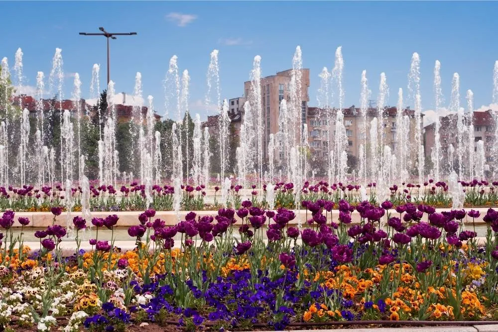 Colorful flowerbed and fountains in Sofia — Shutterstock