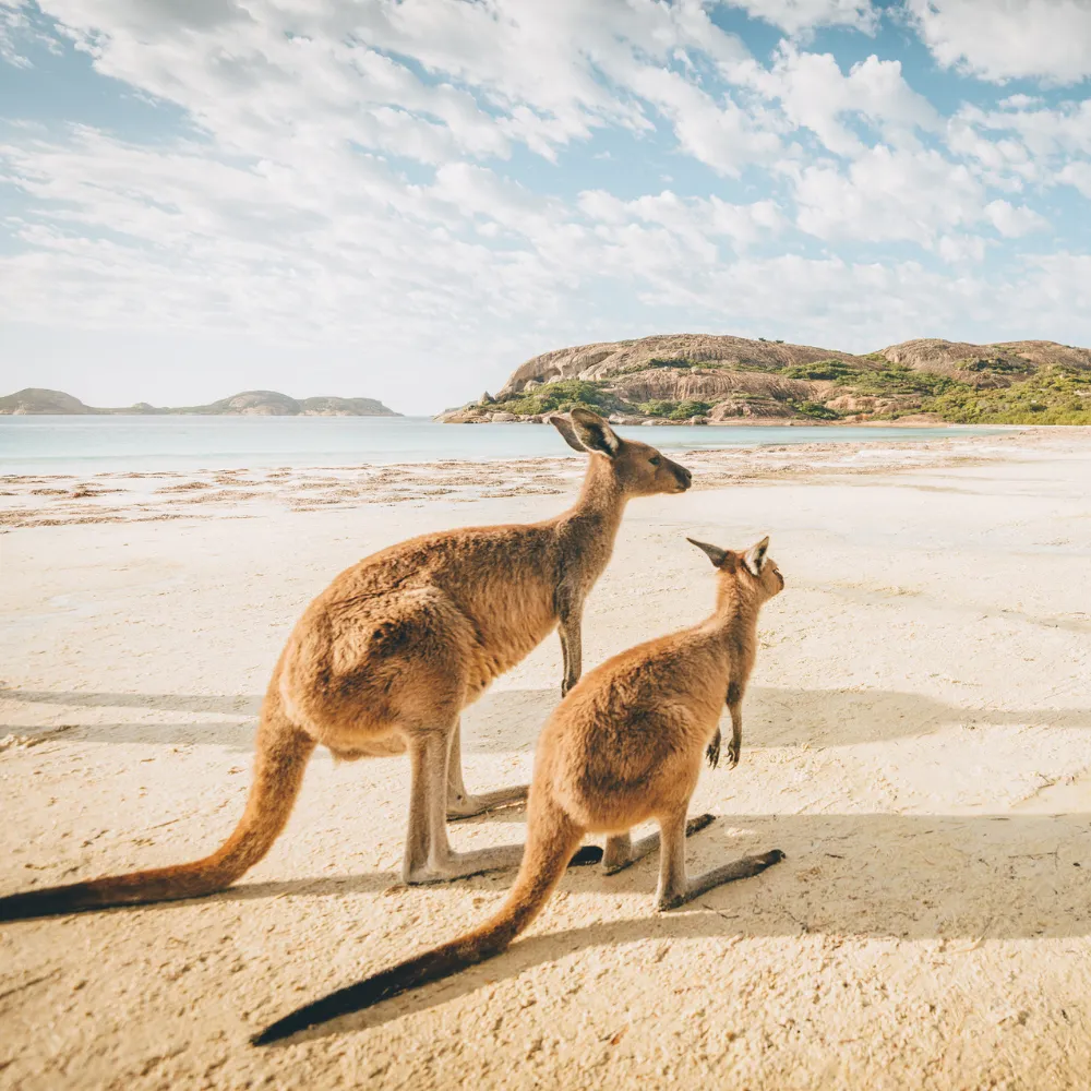 The Ultimate Australian Travel Bucket List