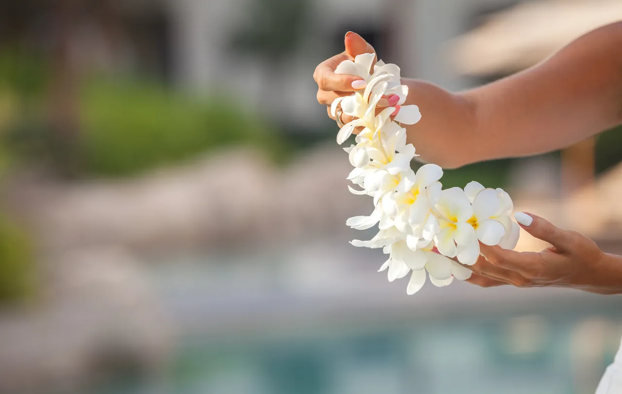 Femeie hawaiană cu o ghirlandă din flori albe de plumeria.