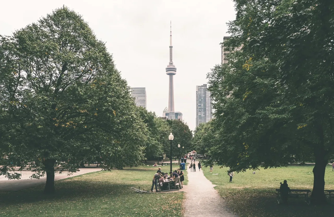 The CN Tower as seen from a nearby park, framed by trees and green space